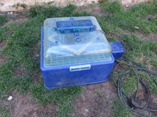 Incubator chickens ducks for sale  CAMBERLEY