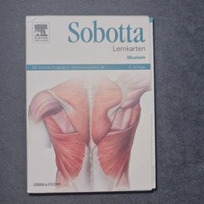Sobotta lernkarten muskeln gebraucht kaufen  Kolbermoor