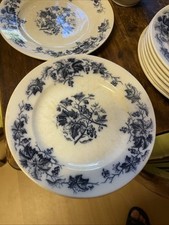 10x teller brombeere gebraucht kaufen  Naumburg