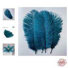 12inch 30cm ostrich for sale  Richmond
