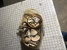 Assorted mixed seashells for sale  Bay City