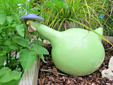Belle poule chapeau d'occasion  Luxeuil-les-Bains