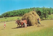 Postcard killeen haying for sale  Southington
