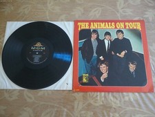 The animals the usato  Acquasparta