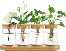 Plant propagation terrarium d'occasion  Expédié en France