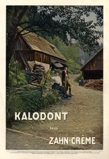 Kalodont zahncreme reklame gebraucht kaufen  Waldburg