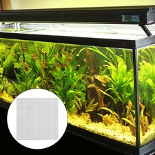 Aquatic moss plant for sale  LONDON