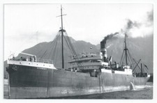 Harrison line student for sale Harrison line student for sale  SPALDING