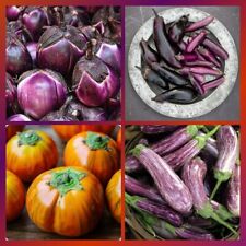 aubergine eskadron gebraucht kaufen aubergine eskadron gebraucht kaufen Willich