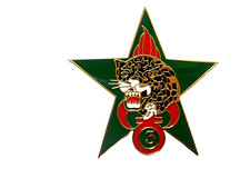 Insigne legion etrangere d'occasion  Saint-Mamert-du-Gard