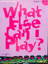 Else play. flute for sale  PEMBROKE