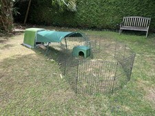 chicken coop run chickens for sale  WINCHESTER