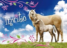 Edition colibri inviti usato Edition colibri inviti usato  Castel San Giovanni