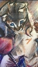 Original playful kitty for sale  Mount Prospect