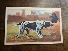 Cartolina cani caccia usato Cartolina cani caccia usato  Marano sul Panaro