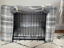 Lords labradors medium for sale  CHELMSFORD