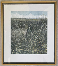 Phil greenwood storm for sale  HALIFAX