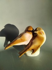 Couple oiseaux moineau d'occasion  Septèmes-les-Vallons
