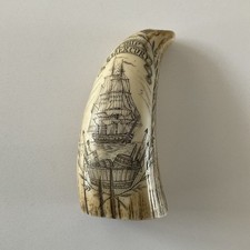 whale tooth for sale whale tooth for sale GOSPORT