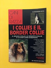 Collies border collie usato  Italia