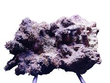 Roccia viva acquario usato  Venetico