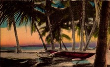 Vintage postcard hawaiian for sale  USA
