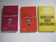 Noam chomsky nahost gebraucht kaufen  Lasbek, Pölitz, Steinhorst, Stubben