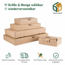 Maxibriefkartons größe menge gebraucht kaufen  Düsternort