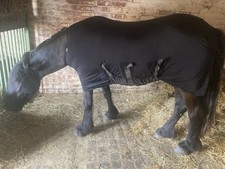 horse hoods for sale horse hoods for sale NOTTINGHAM