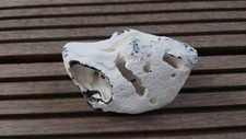 Hühnergott lochstein 11x gebraucht kaufen  Schwerin