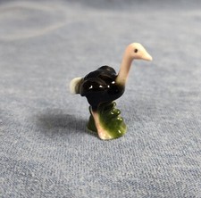 Bug house ostrich for sale  Royal Oak