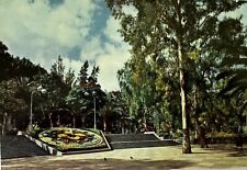 Relógio de flores Santa Cruz de Tenerife no parque da cidade, cartão postal colorido Mancebo comprar usado  Enviando para Brazil