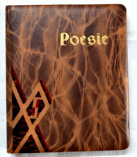 Altes poesie album gebraucht kaufen  Rudolstadt
