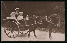 Herzogin victoria louise gebraucht kaufen  Berlin