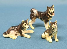 husky dogs for sale husky dogs for sale Anchorage