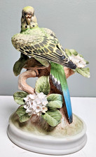 Parakeet andrea sadek for sale  Augusta