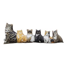 Cat kitten door for sale  Brandon