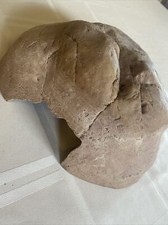 Reptile rock cave for sale  Newburgh