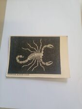 Cartolina scorpione opera usato  Genova