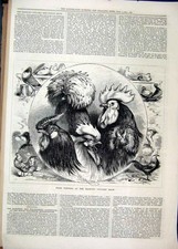 Old antique print for sale  UK