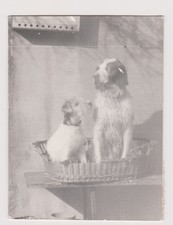 Antique photo two d'occasion  Expédié en Belgium