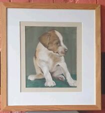 Jack russell hound for sale  DUNMOW
