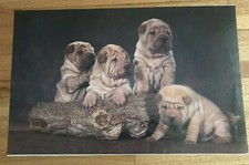 Vintage 1980 pugs for sale  West Covina
