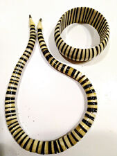 Collana bracciale parure usato  Zagarolo