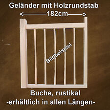 Holzhandlauf handlauf gelände gebraucht kaufen  Blankenhain