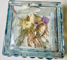 Vintage glass block for sale  Sebastian