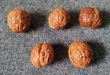 carved walnut for sale carved walnut for sale THETFORD