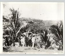 Foto de imprensa oficiais japoneses da selva do Pacífico ATOL TRUK Segunda Guerra Mundial década de 1940 comprar usado  Enviando para Brazil