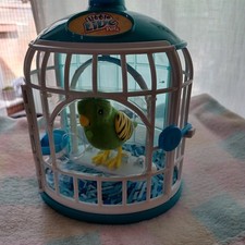 Little live pets for sale  MILTON KEYNES