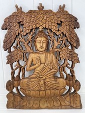 Buddha sitting tree for sale  Hoschton